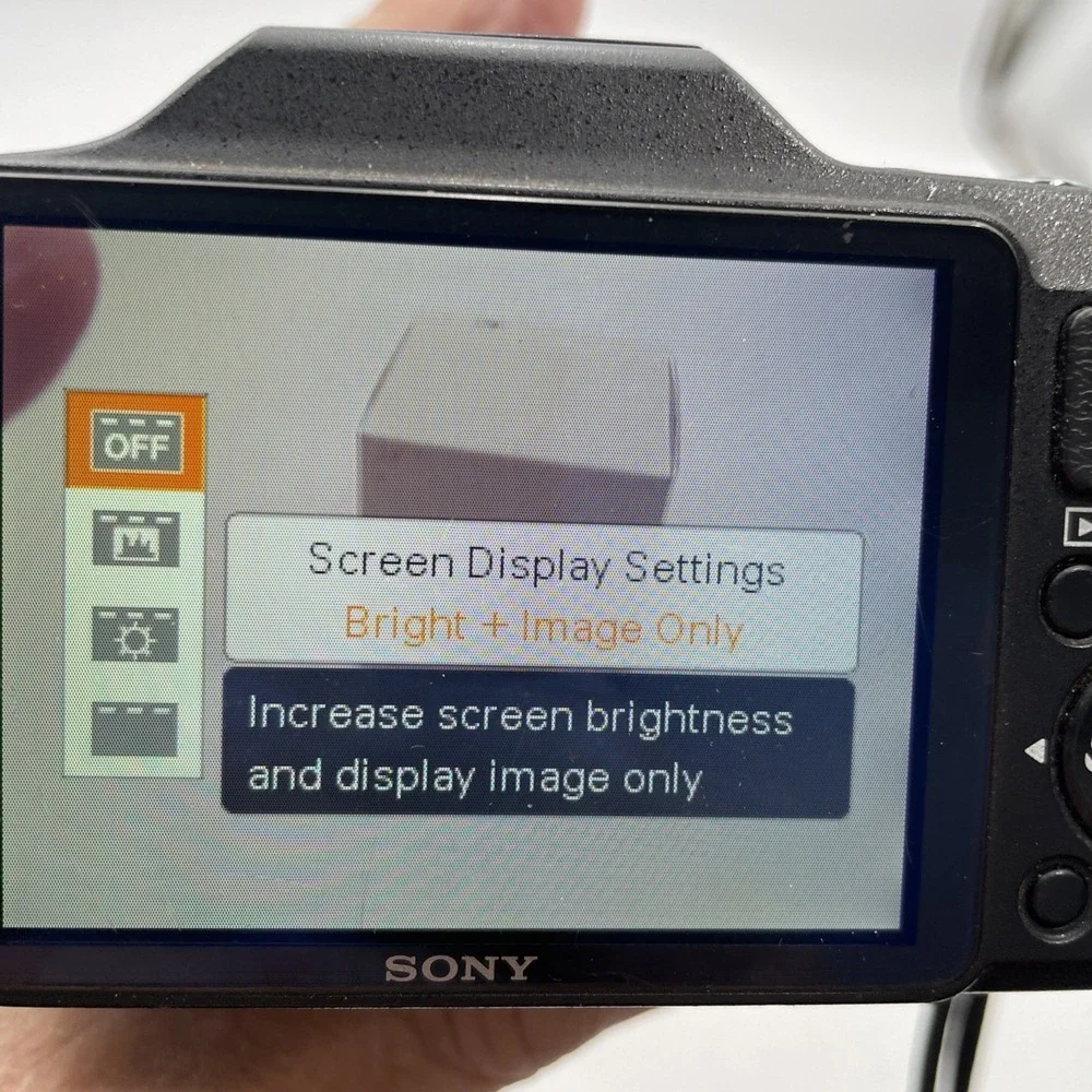 Sony Cyber-shot DSC-H20 Digital Camera 10.1MP+Battery+Charger+SD Card+Case*READ*